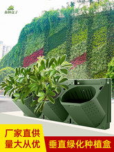 �䳲ֲ���ֱ�G�����������ڒ�ʽ���w�M�χ����Nֲ�۾Gֲ������