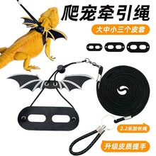 蜥蜴牵引绳爬宠外出防逃绳子遛蜥蜴绳小鳄鱼变色龙小宠用品批发