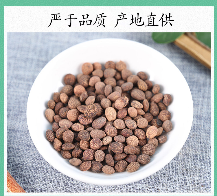 Wild Rui Ren Kernels Rui Ren Zi 500g Dried Prinsepia Seeds Traditional TCM Herb preparation