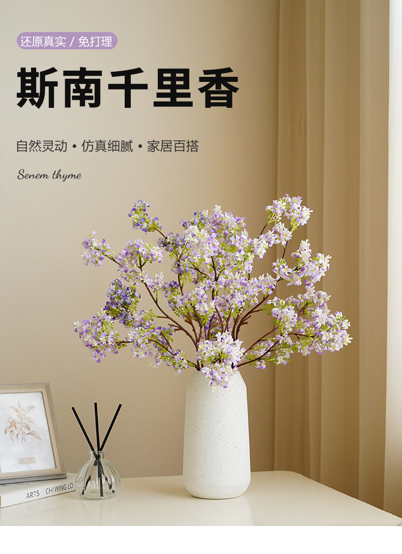 斯南千里香_01.jpg
