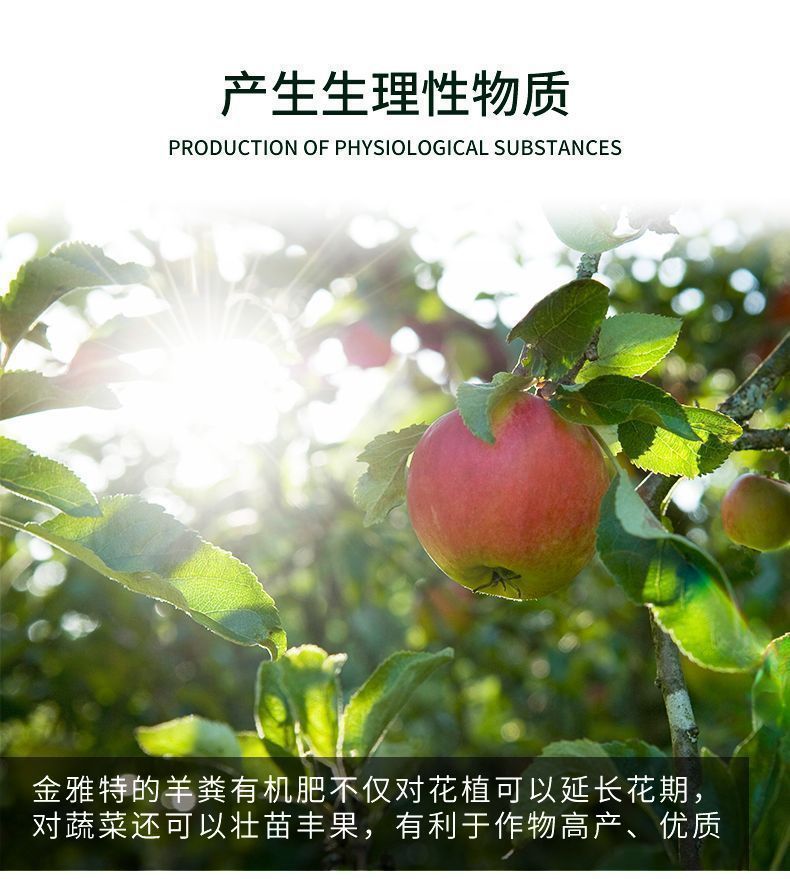 fbd58af5-2291-424a-95f8-a135538757ce.jpe