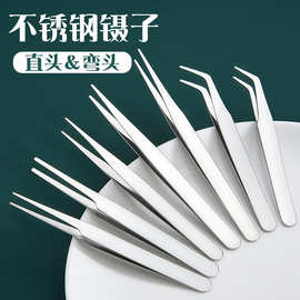 加厚弯直头不锈钢镊子加硬手工DIY多肉夹子批发夹小工具厂家直销
