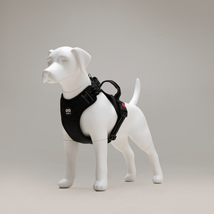 Labrador dog model pet shooting props dog pet supplies display props dog model