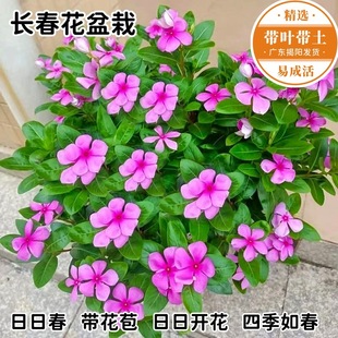 �L�������� ���մ� �̨ͥԺ�͟��͕�ֲ�ﮔ���_�����B���~÷����