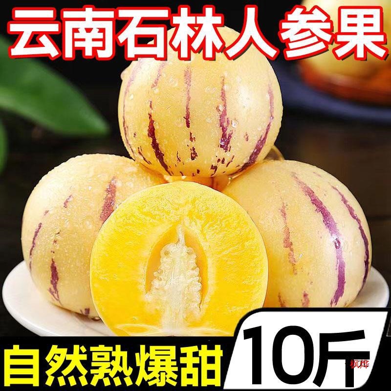 Yunnan Stone Forest Ginseng Fruit 10 Jin Fresh Fruit Baby Yellow Flesh Wild Ginseng Fruit Life Fruit Round Fruit Seasonal Whole Production