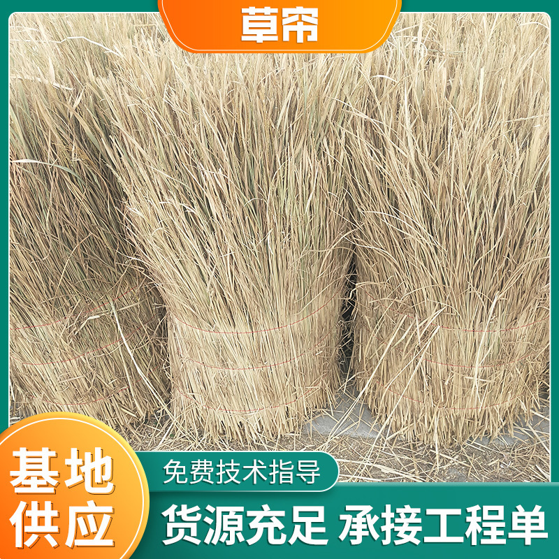 Straw Green Grass Curtain winter greenhouse straw straw straw straw greenhouse shade Grass Curtain Reed curtain