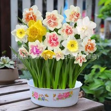 MذˮɷNļ_҃Իܶͺˮ໨N