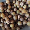 Free seed Yuan saponins Soapberry seed Soap fruit Free seed wholesale Wash your hands Hand Source of goods