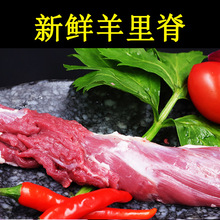 草原羔羊里脊肉内蒙古生羊肉里脊新鲜羊瘦肉商用烧烤食材羊肉厂家