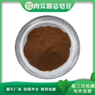 肉苁蓉总皂苷80% 水溶肉苁蓉甙 肉苁蓉提取 厂家批发包邮100克/袋
