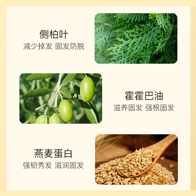 澳威雅老薑王洗髮水防脫育發控油蓬鬆止癢去屑滋潤固發生薑洗髮露