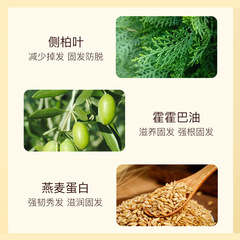 澳威雅老薑王洗髮水防脫育發控油蓬鬆止癢去屑滋潤固發生薑洗髮露