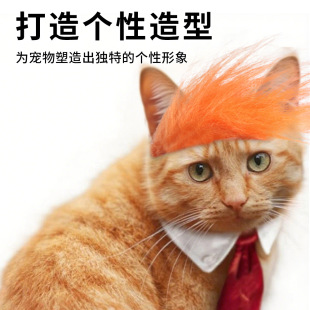 Cross Border Rumple Pet Wigs Orange Kill Matt Cat Wigs Pet Fake Dress Dogs Cross Hair Decoration