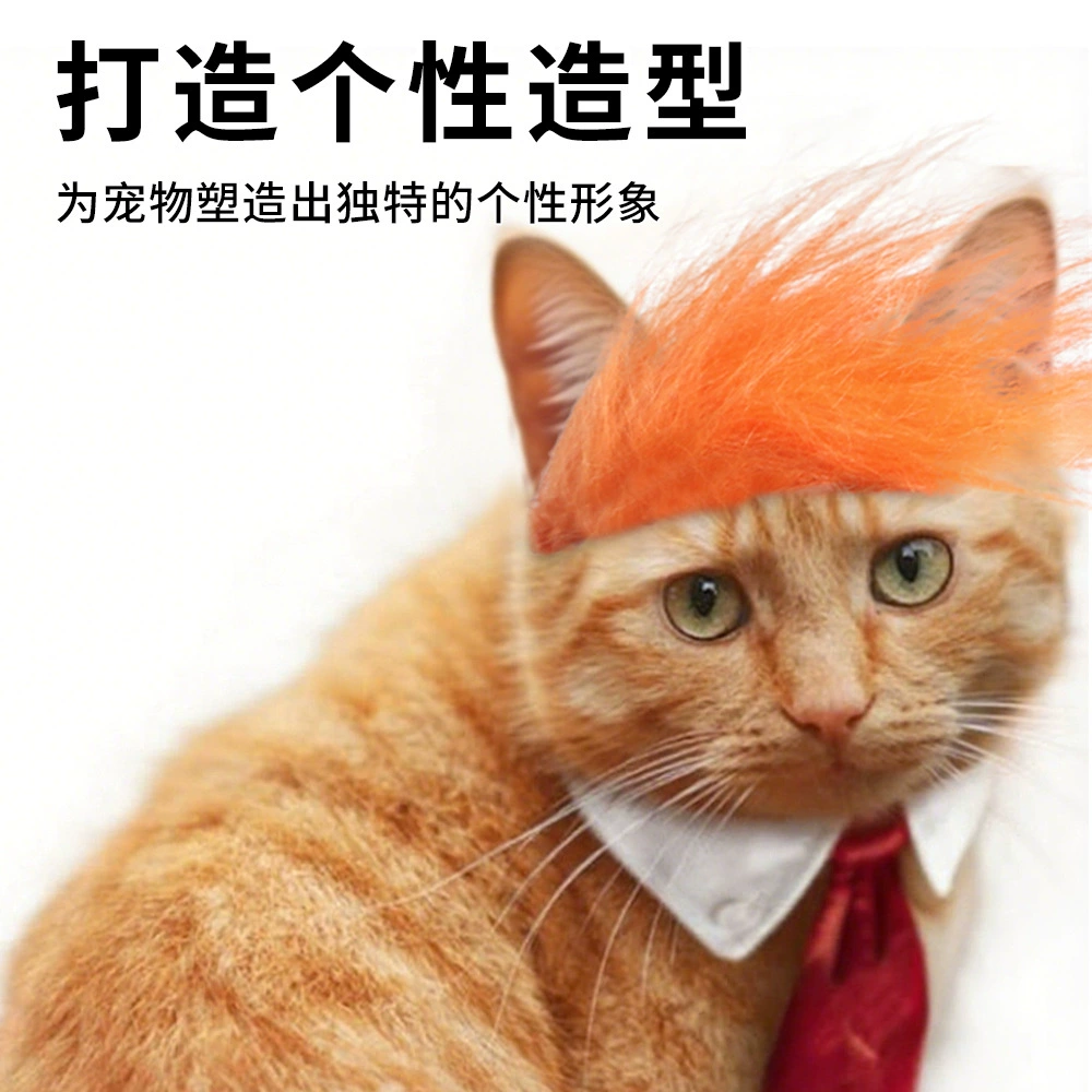 Трансграничный Trump Pet Pet парик оранжевый убийца кошки парик домашнее животное ложное платье собачий декор
