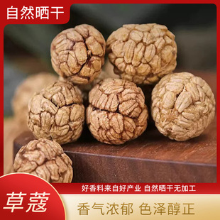 �ݶ�ޢ��ޢ��ݿܲݿ��ʟ����u�������ϟ������Ҝ��{ζ�����l