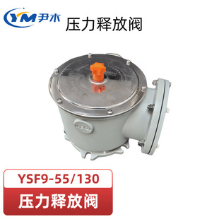 ���� YSF9-55/80DKJTHB ����ጷ��y ���������]�i�b��YSF9ϵ��