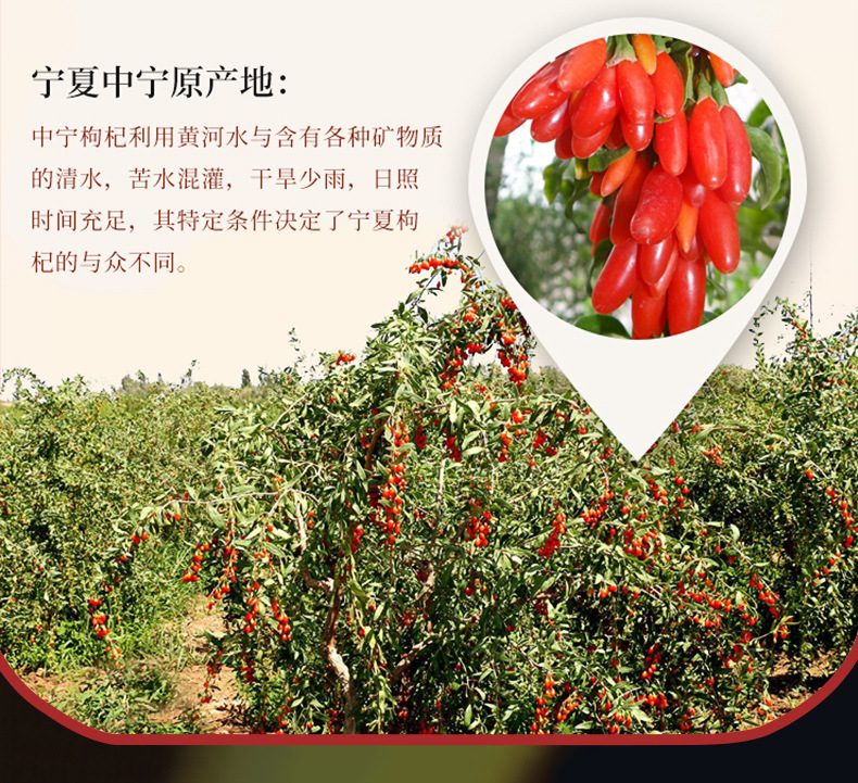 Large Grain Small Chili Goji Berries Ningxia Zhongning Dried Red Goji 500g specifications