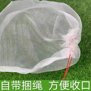 �����^�V���W�����ɲ˕��D����ȷ��x�W�����״����B������]���l
