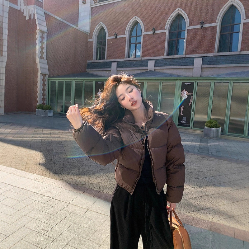 Kendall Jenner Style Short down Jacket for Women, White Duck Down, Winter Fashion, Thickened, Black and Coffee Color, Puffer Jacket, Trendy