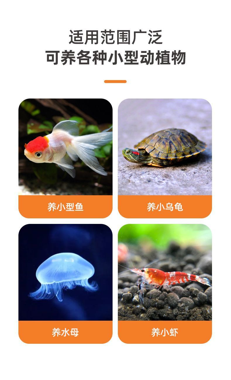 beef610c-c91f-4ed6-ab28-be1586b4f4d9.jpe