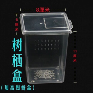 �䗫��֩����������͸�����x�������Bֳ��͸���ιʳ�������