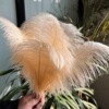 35-40cm ostrich hair DIY feather wedding feather stage home window decoration feathers