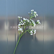 ����M���� �ָ�ܛ�z��֧�M���Ƿ��滨��Y�b������������컨