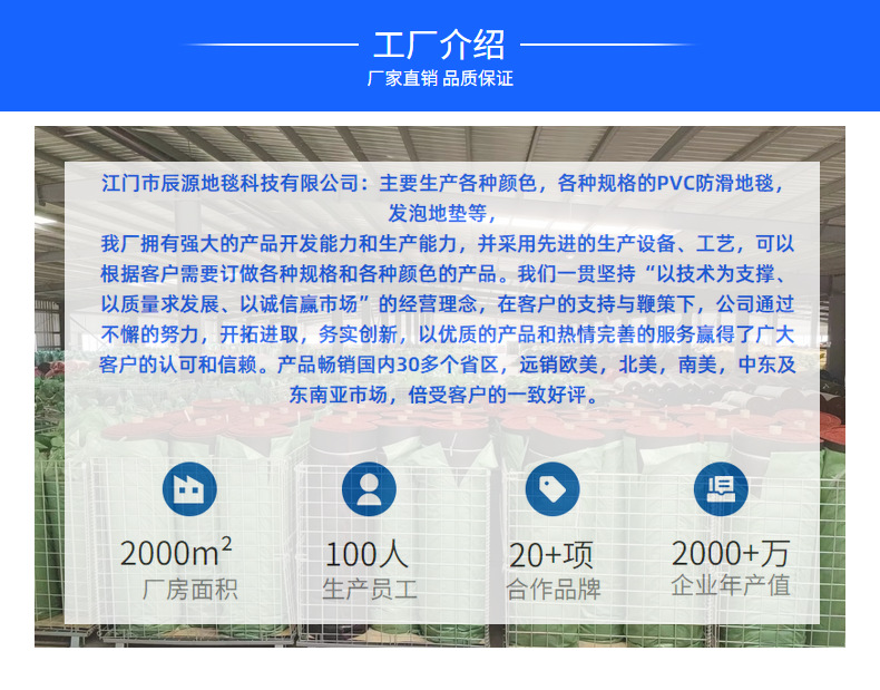 Customized Wire Loop Carpet Pvc Non-Slip Floor Mat Home Corridor Hall Door Mat Hot Melt Wire Loop Car Floor Mat Roll Material