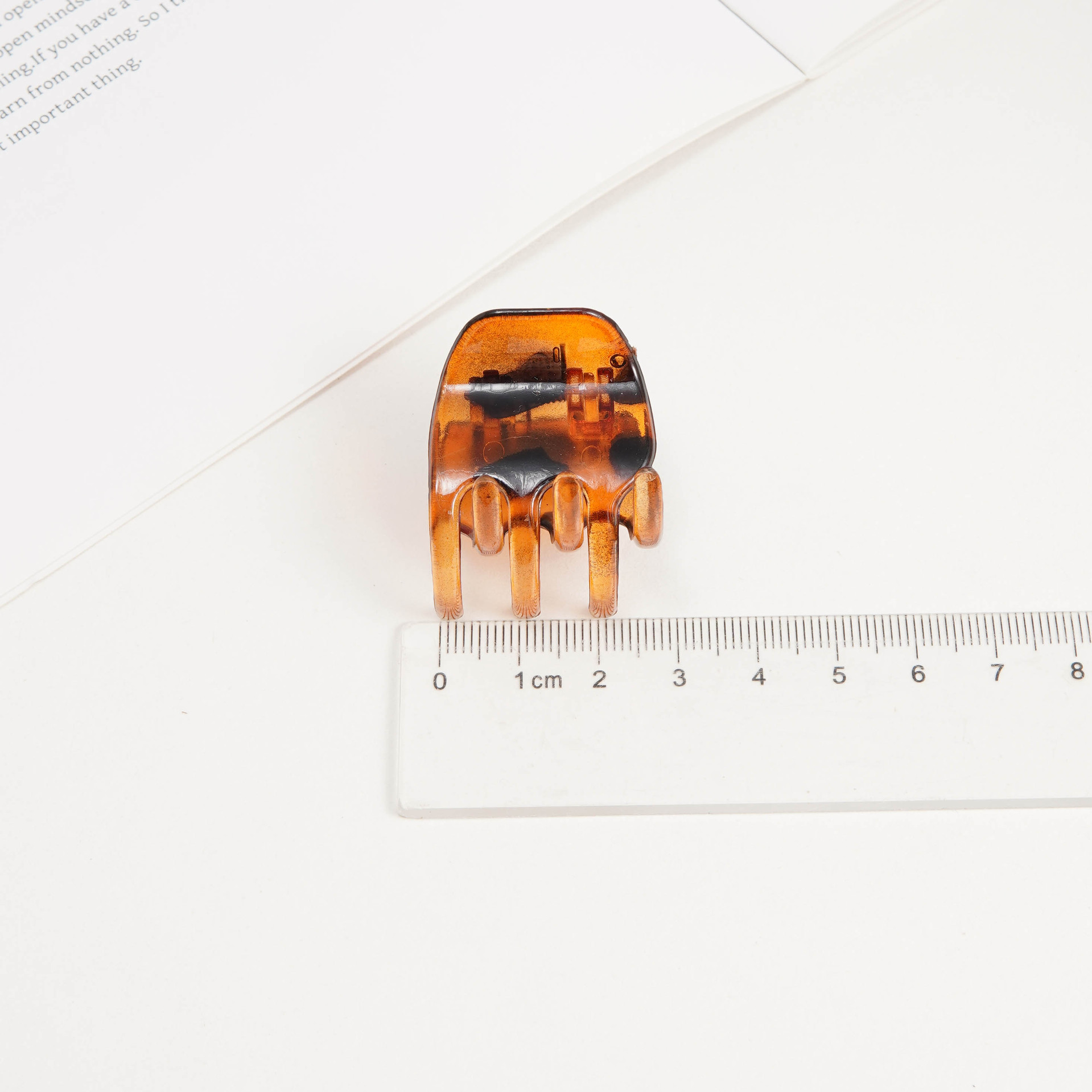 3CM 밝은 거북이 껍질 색상