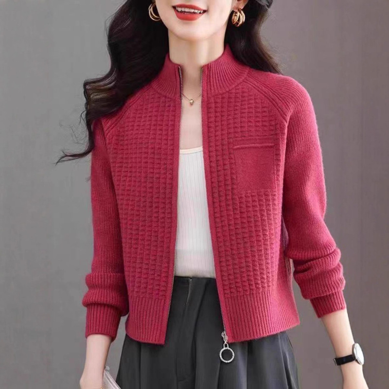Knitted Cardigan for Women 2025 Spring & Fall New Style Small Stand-Up Collar Zipper Top Loose and Stylish Short Sweater Jacket Knitted Cardigan for Women 2025 Spring & Fall New Style Small Stand-Up Collar Zipper Top Loose and Stylish Short Sweater Jacket