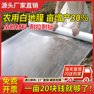 ��ɫ��Ĥ���ر���Ӻ�ȫ��������Ĥ�ڵ�Ĥ�r�÷N�˻������ñ�Ĥ