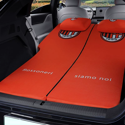 Designed for Tesla 3Y – Vehicle-mounted inflatable bed