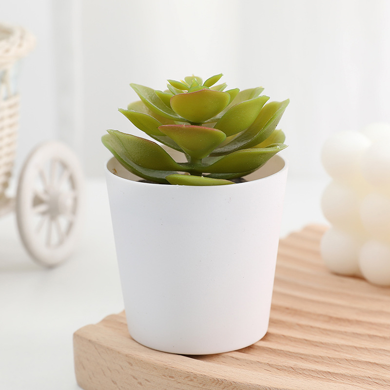 Maceta pequeña de simulación para plantas suculentas, flores falsas de plástico – mini bonsái, estilo de moda. image 4