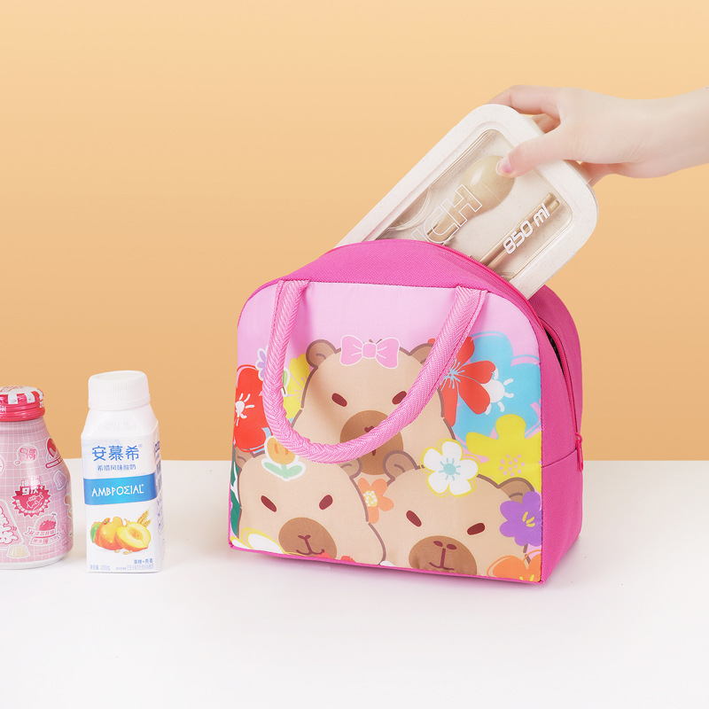 Bolsa de almuerzo infantil de dibujos animados bolsa de almuerzo portátil bolsa de almuerzo aislante de calor bolsa de almuerzo lindo bolsa de almuerzo al trabajo y la escuela estudiantes con bolsa de almuerzo