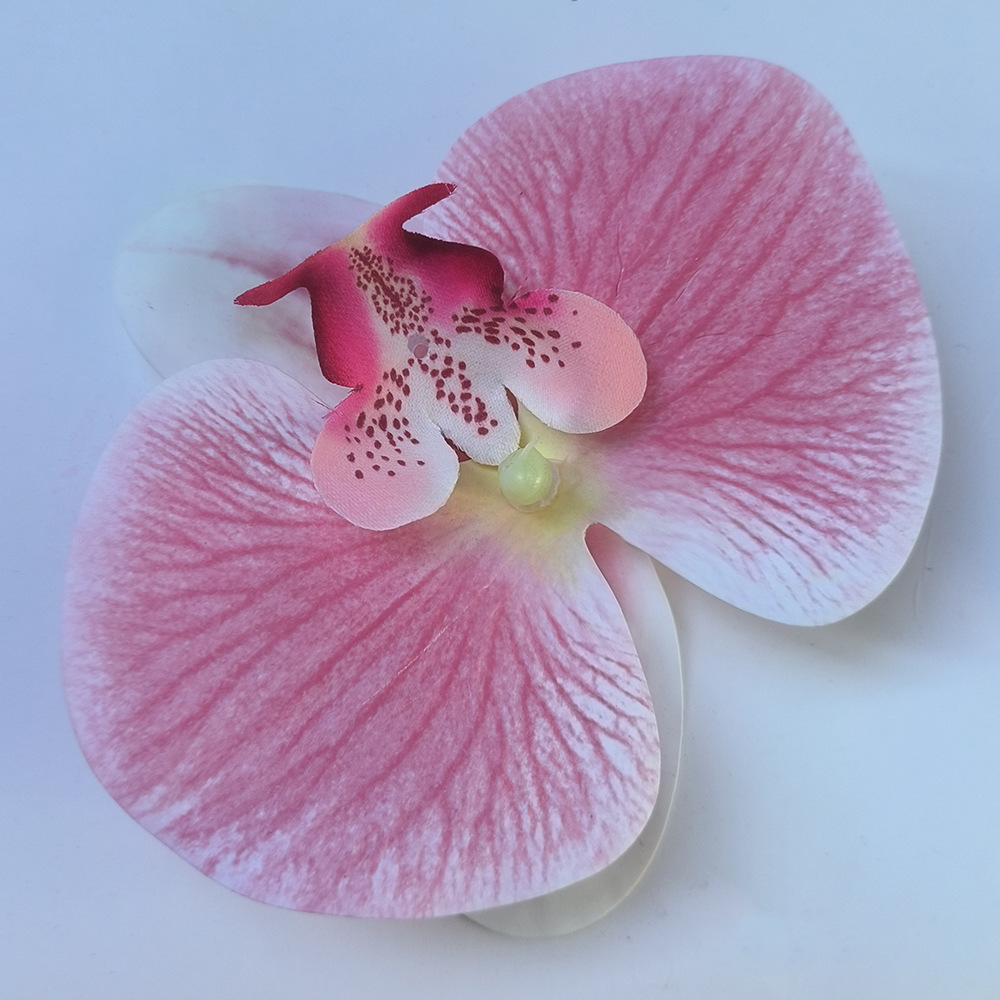 SKU图_粉色 高质量胶片 (11cm)