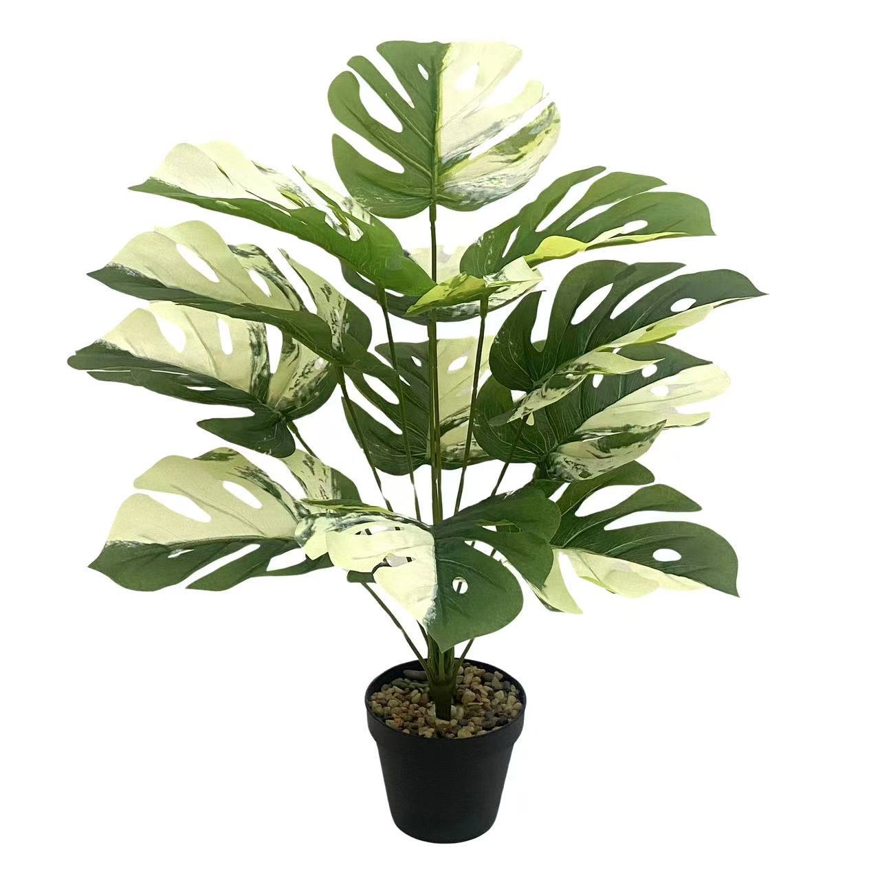 微信图片_20250429210947