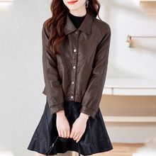 Ʒ�ƴ��ﺣ����ƤƤ��Ůʿ�¿�r���������Ƥ�A�˸߶˾d��Ƥ����