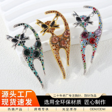�羳�W���r�� �͹ſɐ�С؈����� �������ػ��W�t������I�