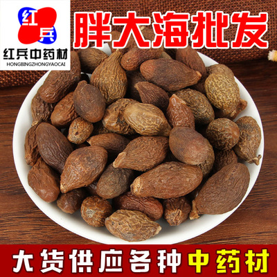 批发零售胖大海批发长果圆果胖大海量大从优胖大海|ms