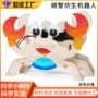 儿童仿生科技科学小制作