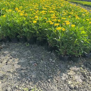 ľ������@�־G���ر����l