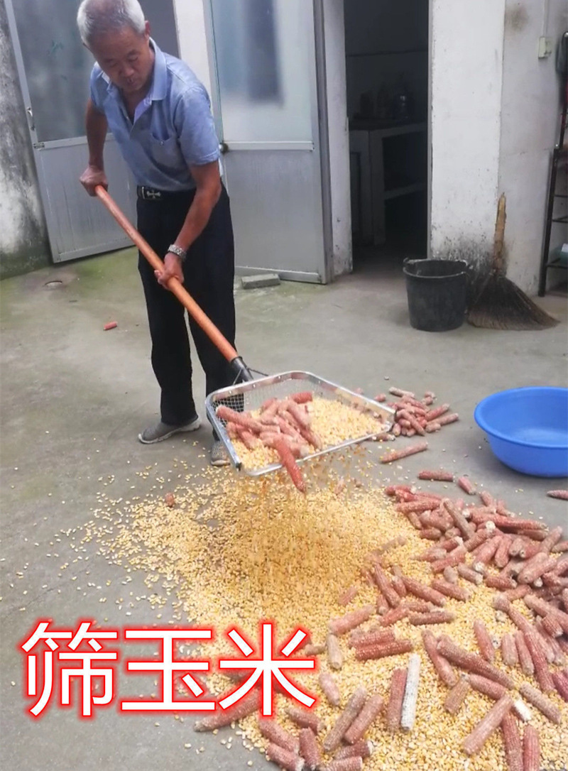 O1CN01vWxqDH23NLPPeNhTH_!!2210