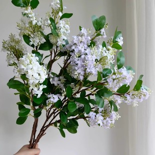 ����ǧ����������������^ɽ���S����c�Ҿ��b��滨���㻨