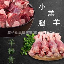 鲜冻多肉羊小腿 内蒙古原切羊小腿羊棒骨冻货羊腱子20斤