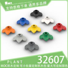 ��100g��32607������ľС����ɢ���Ƽ���������1x1ֲ���3Ҷ��