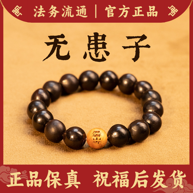 Natural Soapberry Bracelet, Meditation Bracelet, Snake Year of Birth, Good Luck and Peace Charm, Buddha Beads, Men's and Women's Bracelets, Free Shipping