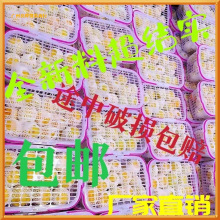 全新料草莓葡萄无花果塑料篮手提水果篮樱桃杨梅篮2-13斤筐。