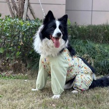 �����·����������ȿ㻧�������������ȿ㳤ë����Ȯ�޹�
