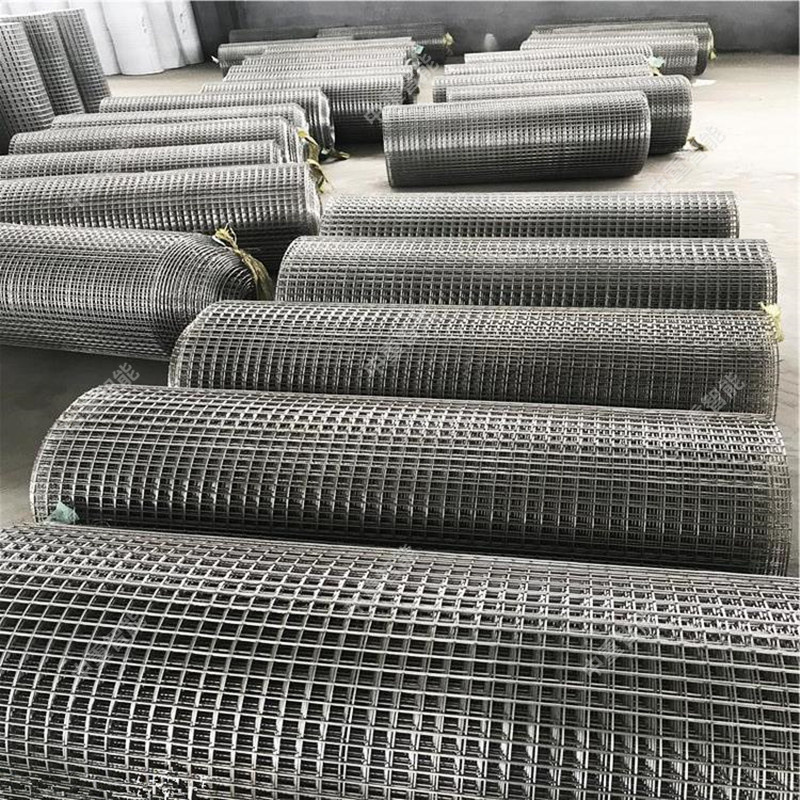 u=3677484300,772006656&fm=