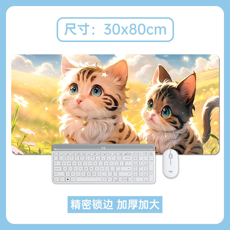 둔한 고양이 두 마리
